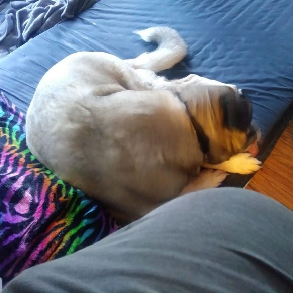 Meet your Posher, Joe - Picture 1 of 1